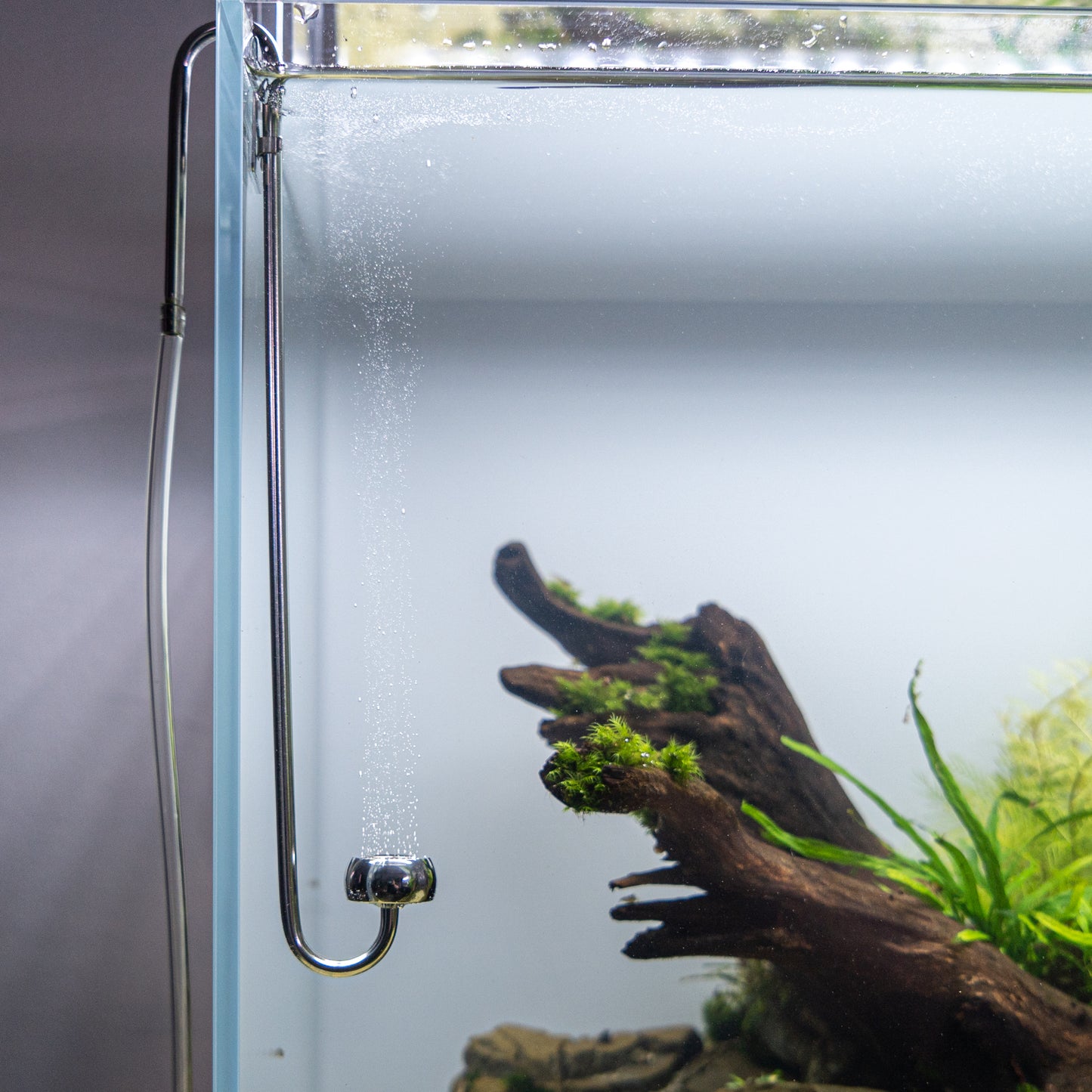 CO2 Diffusor