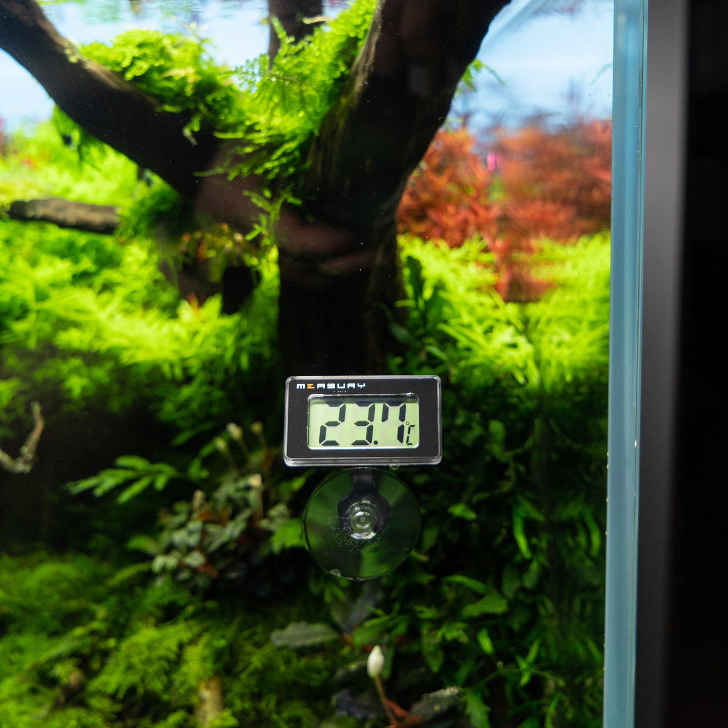 Aquarium Thermometer TM10