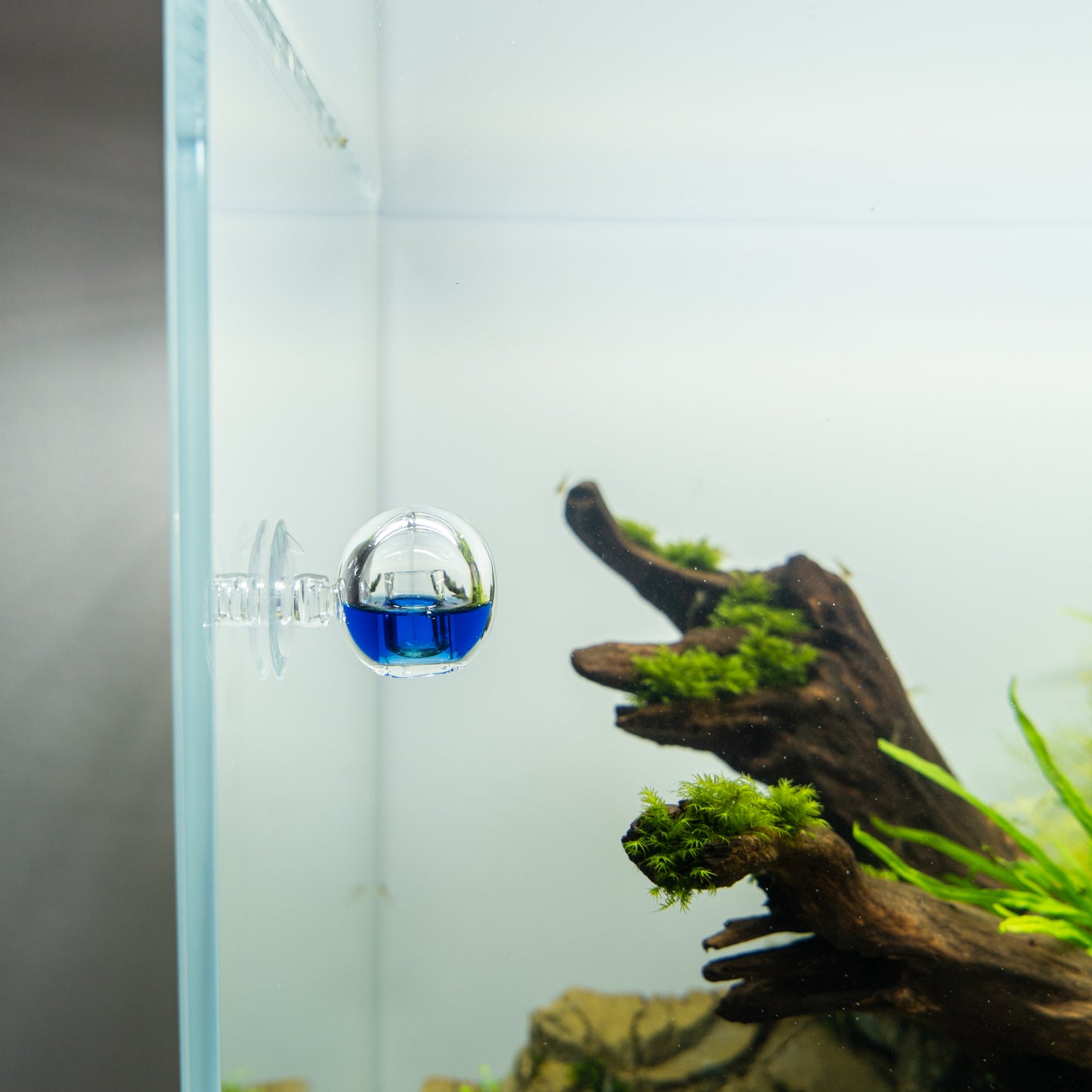 Aquarium CO2 Dauertest ORB