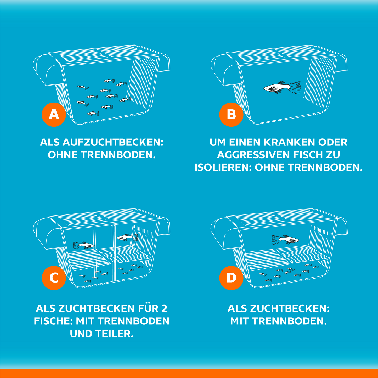 Aufzuchtbecken Aquarium