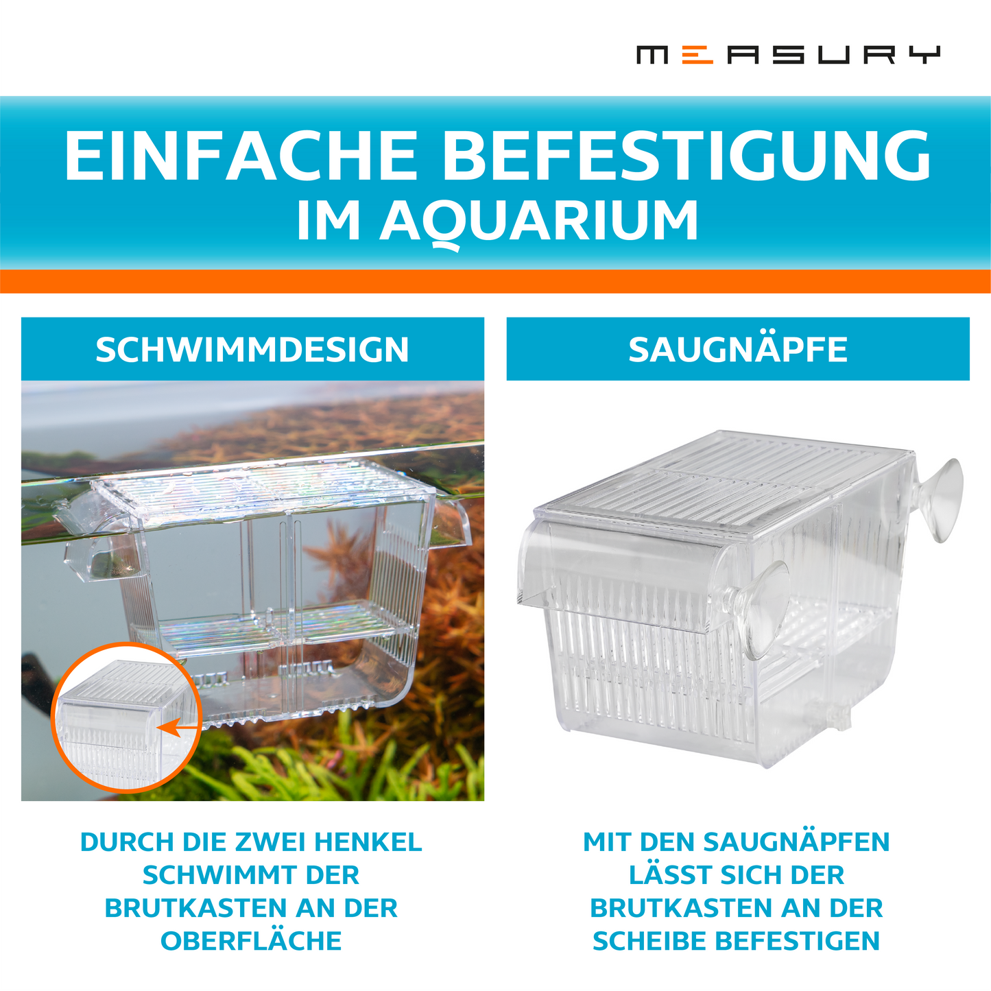 Aufzuchtbecken Aquarium