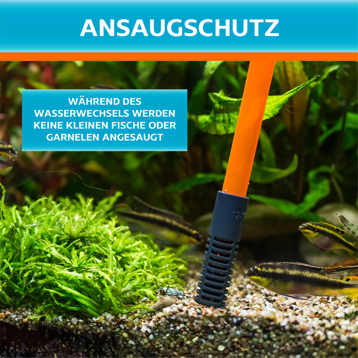 Aquarium Mulmsauger