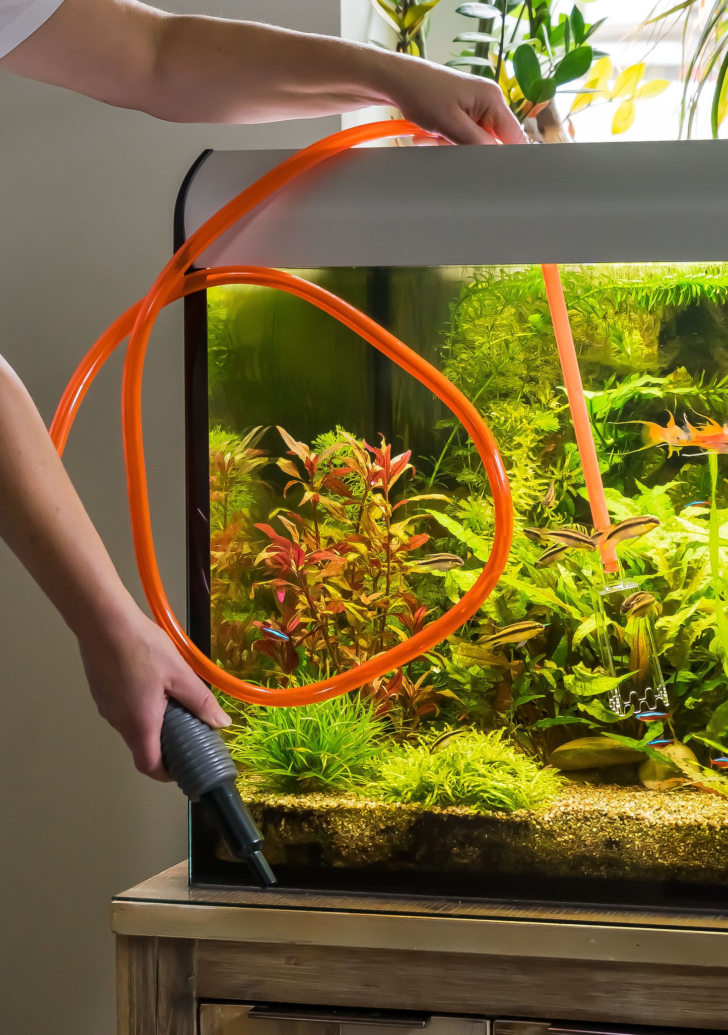 Aquarium Mulmsauger